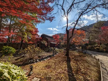 Go Conference mini 2023 Winter IN KYOTOでLTしました image